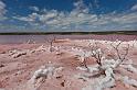 034 Port Gregory, pink lake